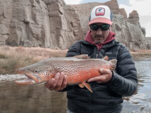 Green River Fly Fishing Guide's Report & Water Flow Trophy Green River Brown Trout Ready To Be Released Safely Back Into His Native Home By Green River Fishing Guide At Dutch John Resort