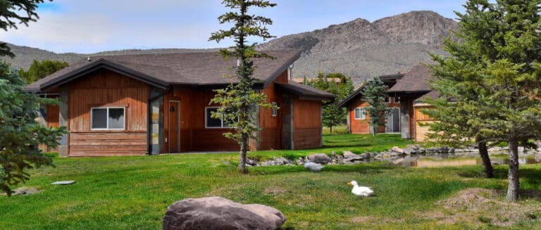 Private individual Luxury Mountain Cabins Dutch John Resort