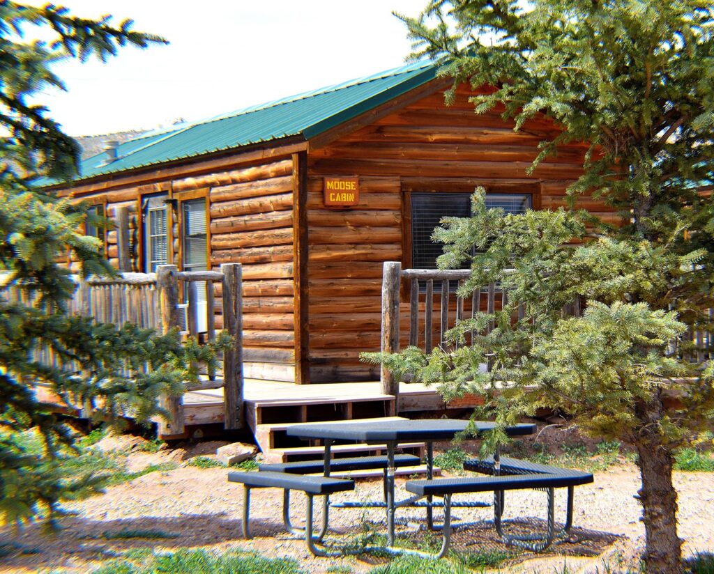 Moose and Fish Cabins at Dutch John Resort