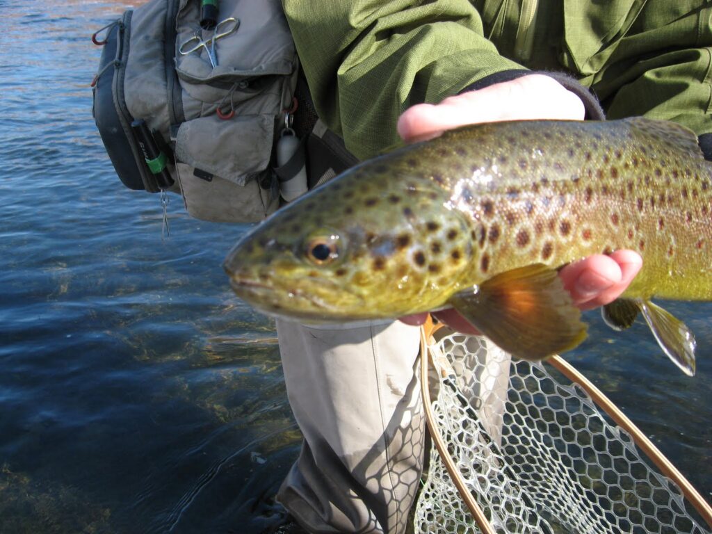 2013 Provo River 003