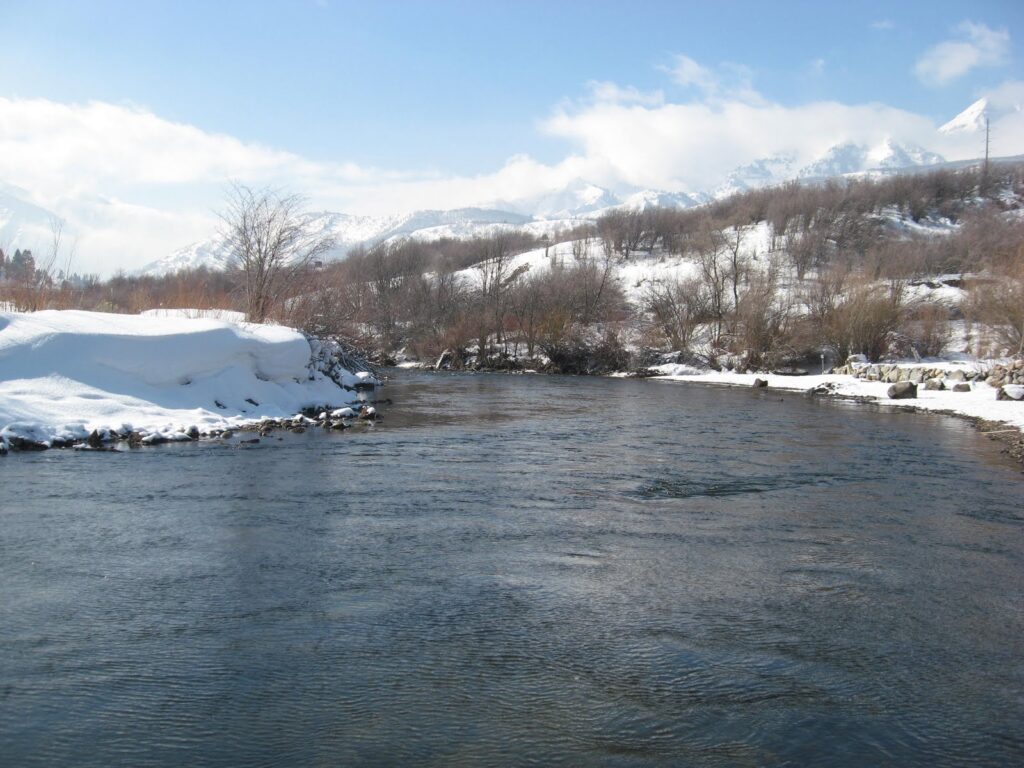 Green River Fly Fishing: World-Class Trophy Trout at Dutch John Resort