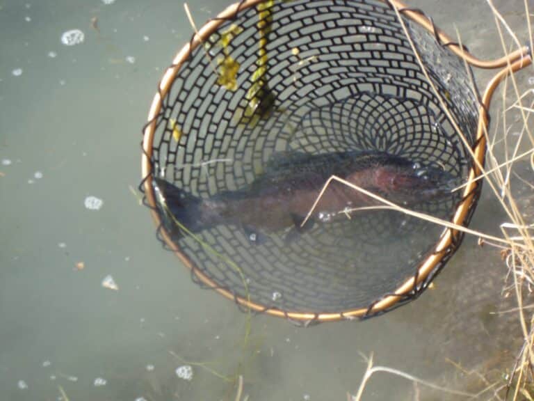 Green river trout fishing in a drift boat Dutch john resort fly fishing guides