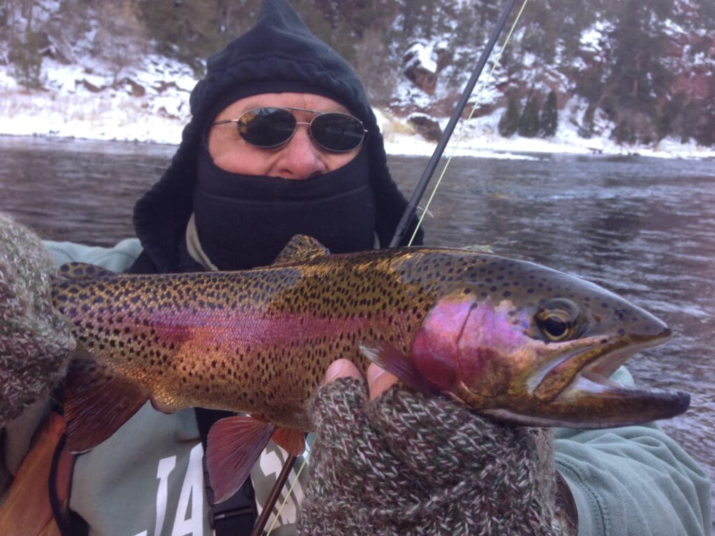 When Do Brown Trout Spawn? Understanding Nature’s Calendar for Better Fishing Success