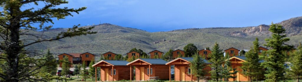 Cabin Parent Draft