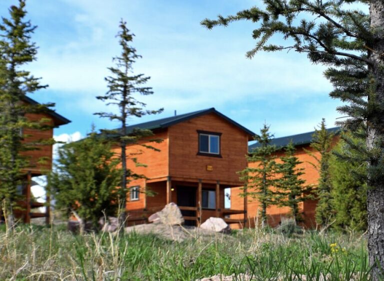 three brown cabins