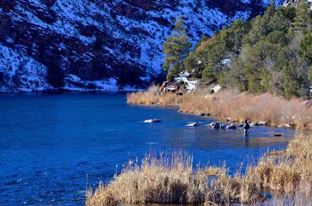 Utah FIshing License Tips