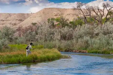 Fishing Conditions Utah