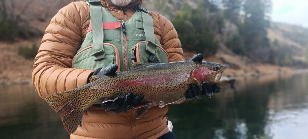 Fishing Resources